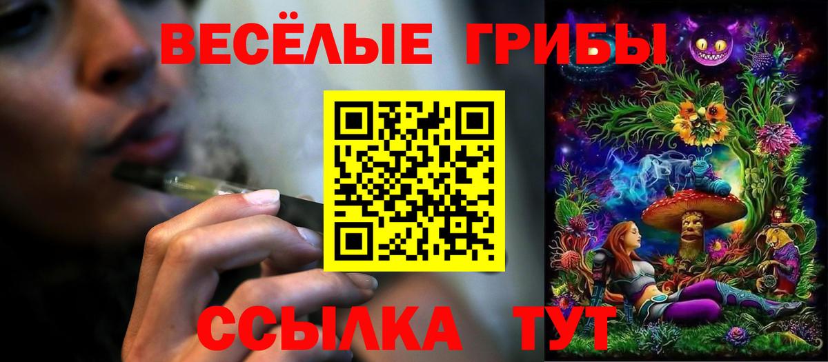 Псилоцибиновые грибы Psilocybe Норильск