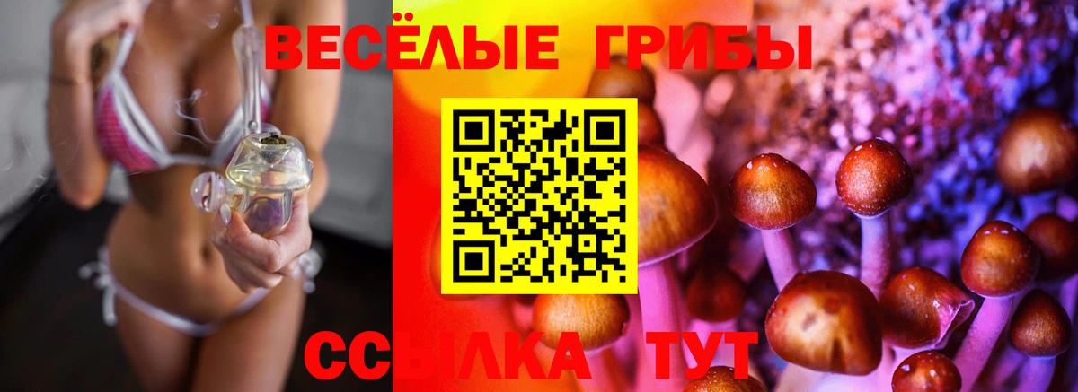 Псилоцибиновые грибы GOLDEN TEACHER  Галлюциногенные грибы MAGIC MUSHROOMS  Норильск  Вход с VPN 